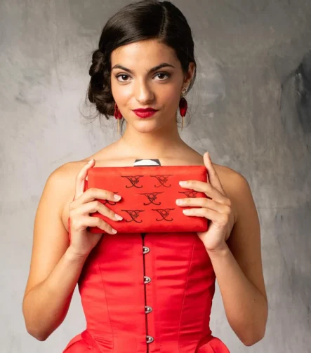 Bolso de mano